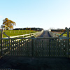 fencing