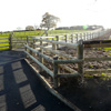 fencing