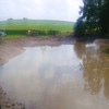 pond