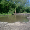 pond