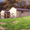 stables
